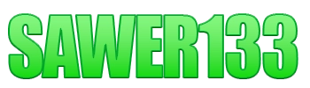 Logo SAWER133